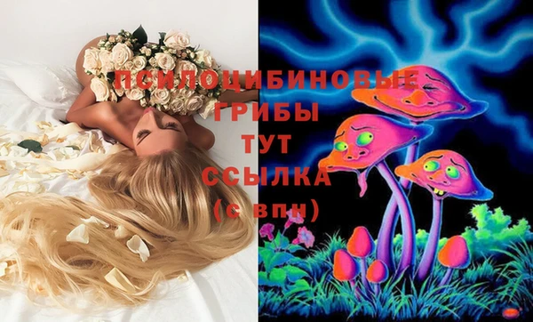 дурь Лихославль