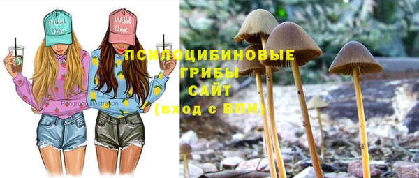 дурь Лихославль
